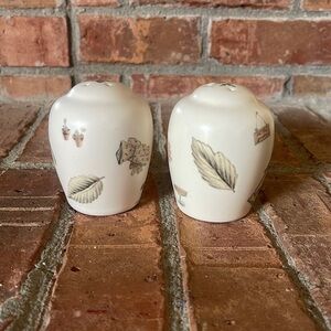 Pfaltzgraff Naturewood Salt & Pepper Shakers